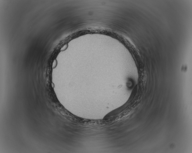 X0000096731016200803041218