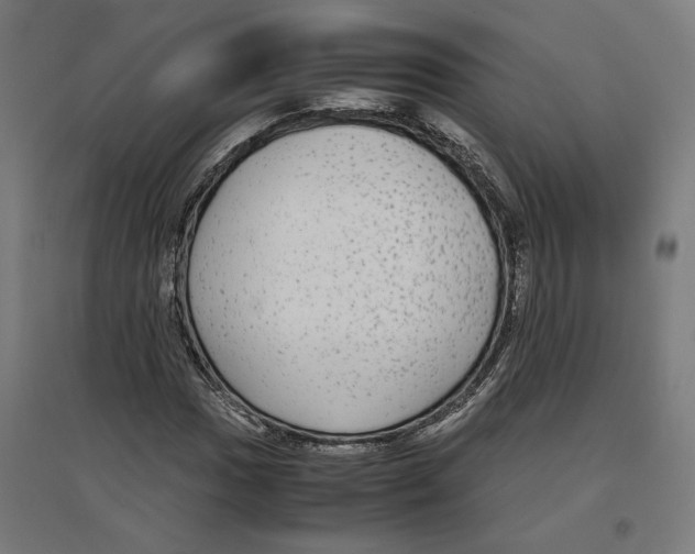 X0000096731017200803041218