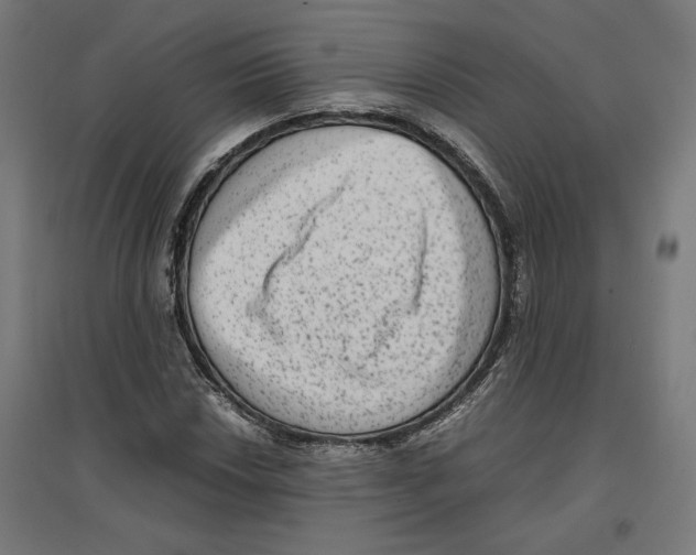 X0000096731018200803041218