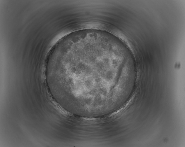 X0000096731019200803041218