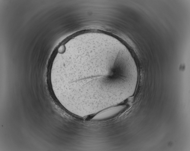 X0000096731020200803041218
