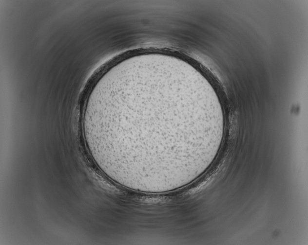 X0000096731021200803041218