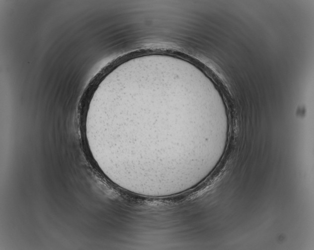 X0000096731022200803041218