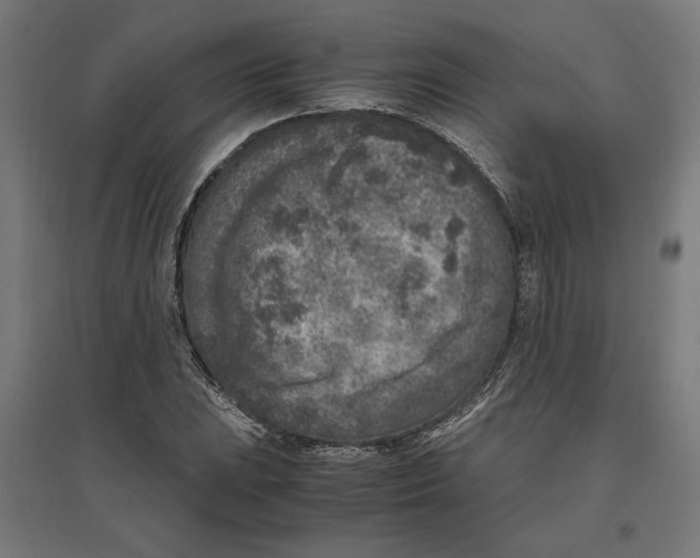 X0000096731023200803041218