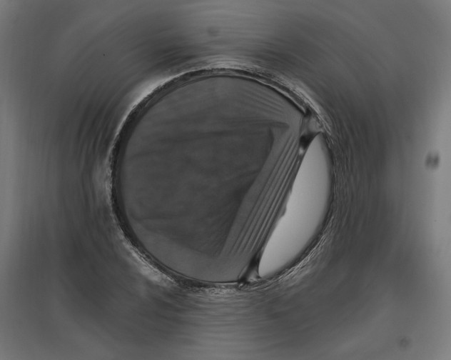 X0000096731024200803041218