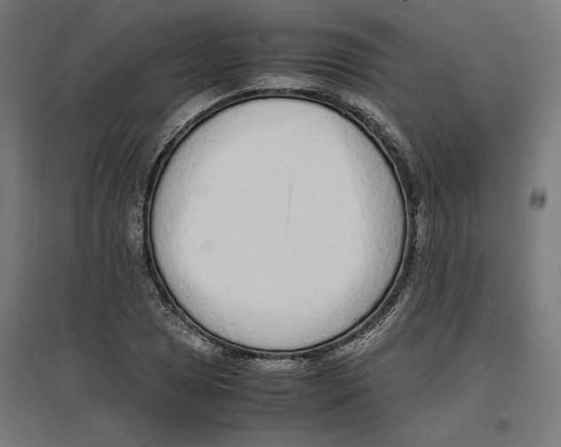 X0000096731025200803041218