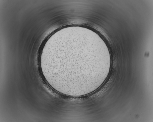 X0000096731026200803041218