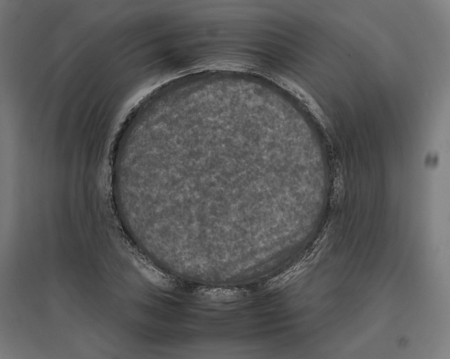 X0000096731027200803041218