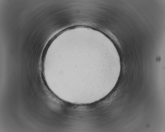 X0000096731028200803041218