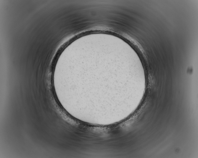 X0000096731029200803041218