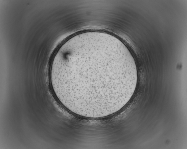 X0000096731030200803041218