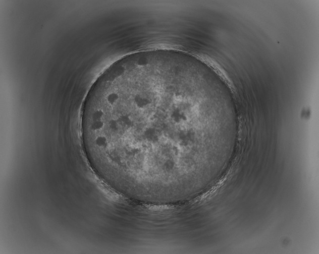 X0000096731031200803041218
