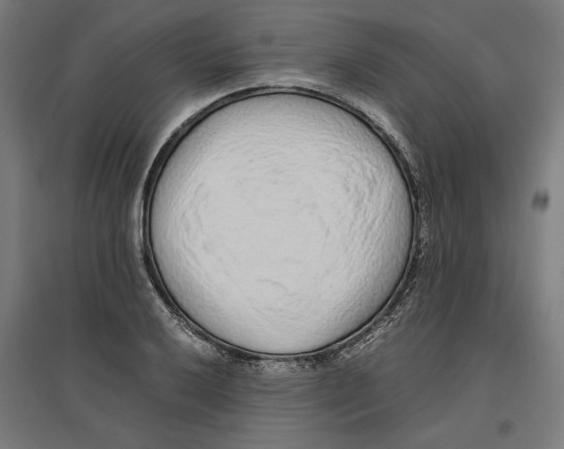 X0000096731032200803041218
