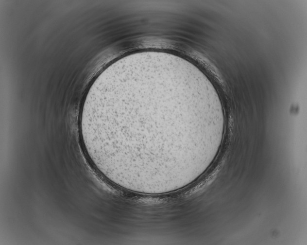 X0000096731033200803041218