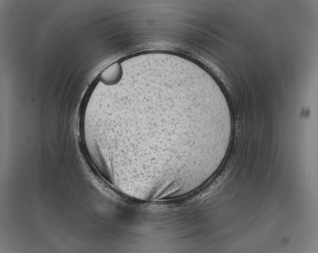 X0000096731034200803041218