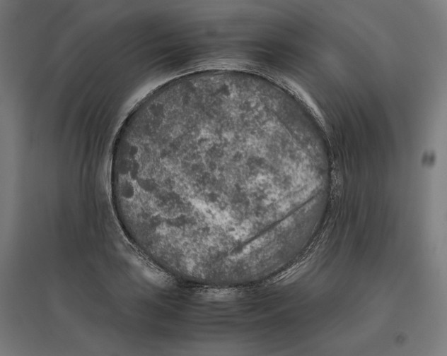 X0000096731035200803041218