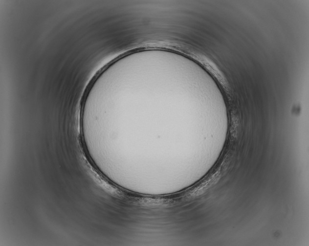X0000096731036200803041218