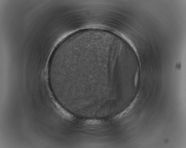 X0000096731037200803041218