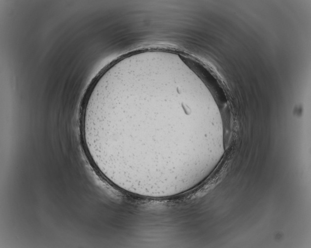 X0000096731038200803041218