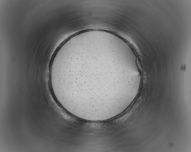 X0000096731040200803041218