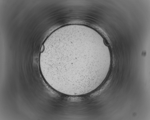 X0000096731041200803041218