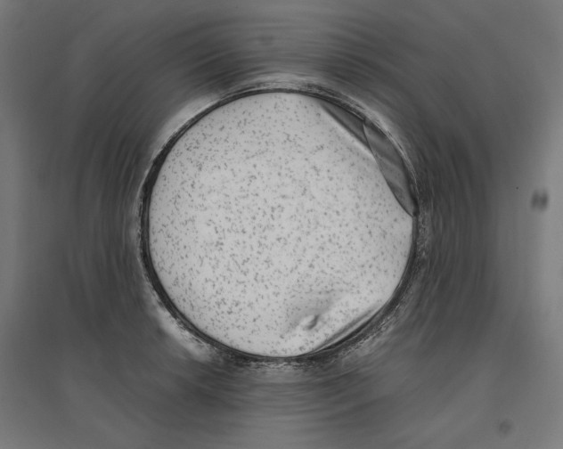 X0000096731042200803041218
