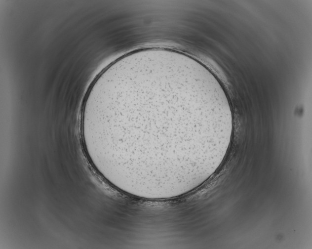 X0000096731044200803041218