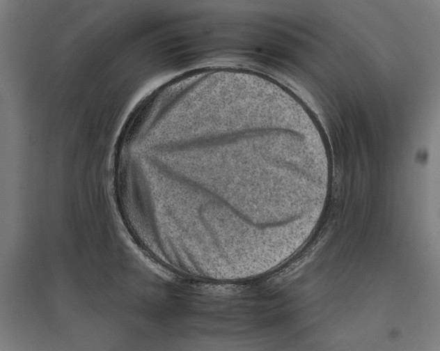 X0000096731045200803041218