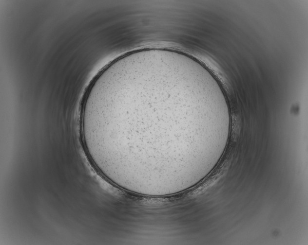 X0000096731046200803041218