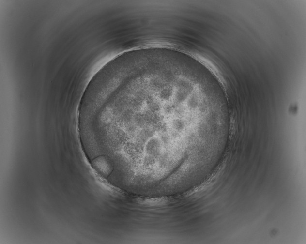 X0000096731047200803041218