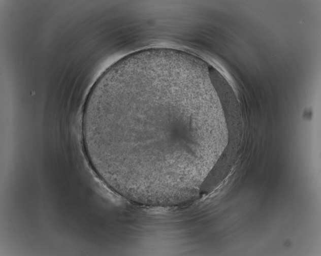 X0000096731048200803041218
