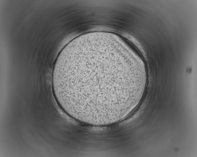 X0000096731049200803041218