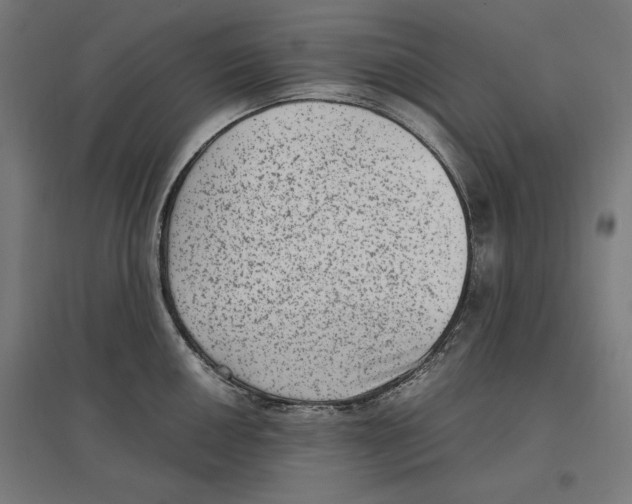 X0000096731050200803041219