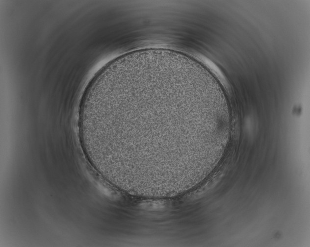 X0000096731051200803041219