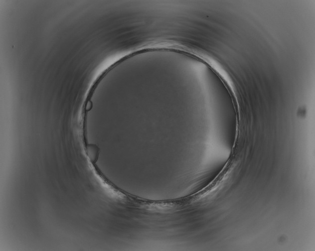 X0000096731053200803041219