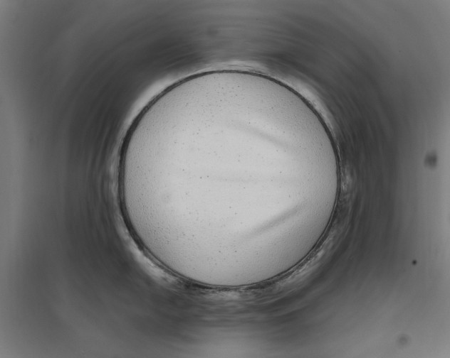 X0000096731054200803041219