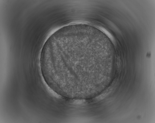 X0000096731055200803041219