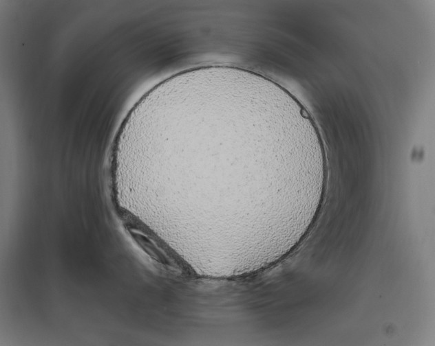 X0000096731056200803041219