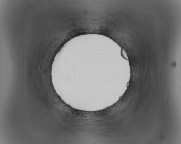X0000096731057200803041218