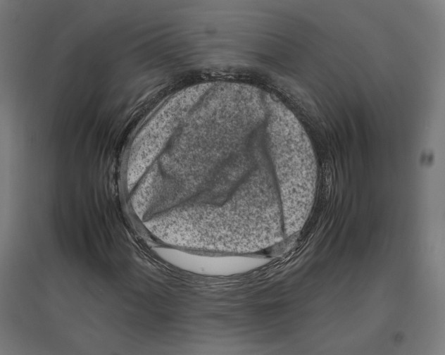 X0000096731060200803041218