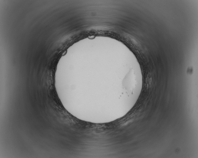 X0000096731062200803041218