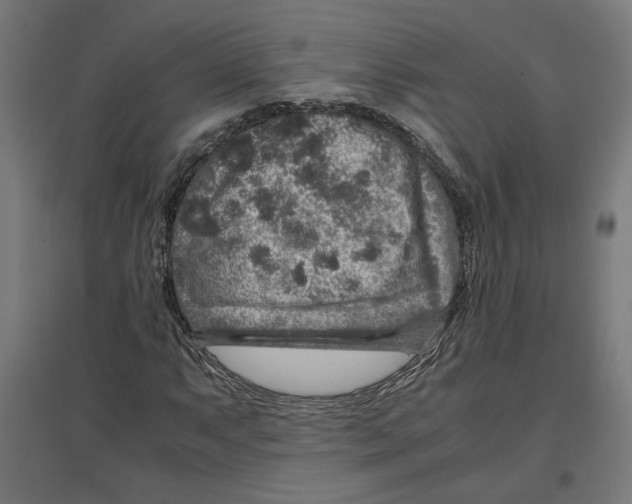 X0000096731063200803041218