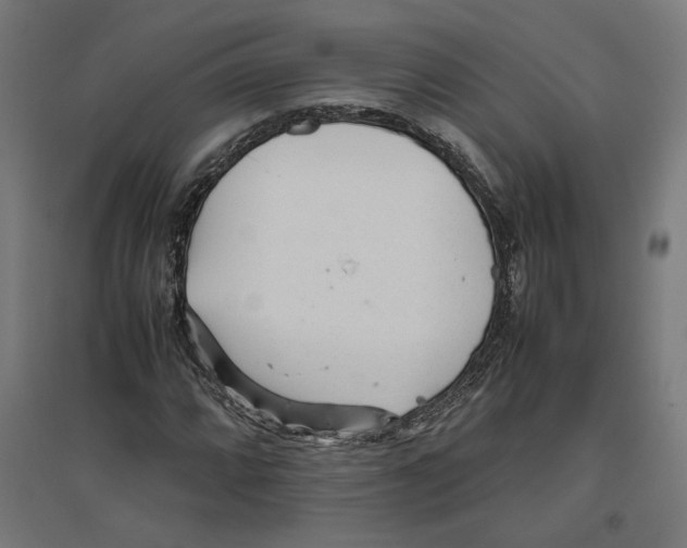 X0000096731064200803041218