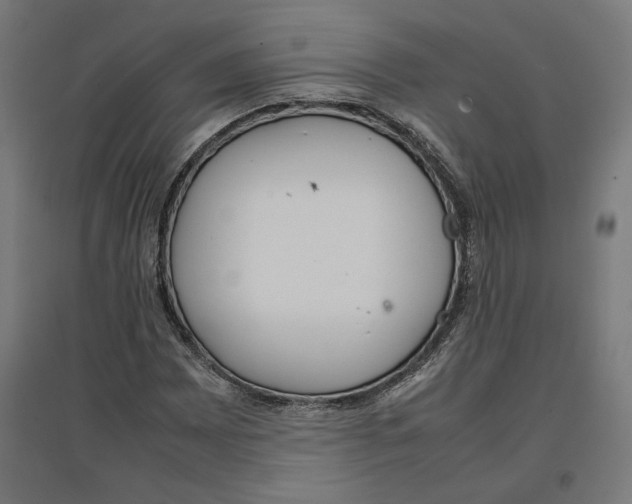 X0000096731065200803041218