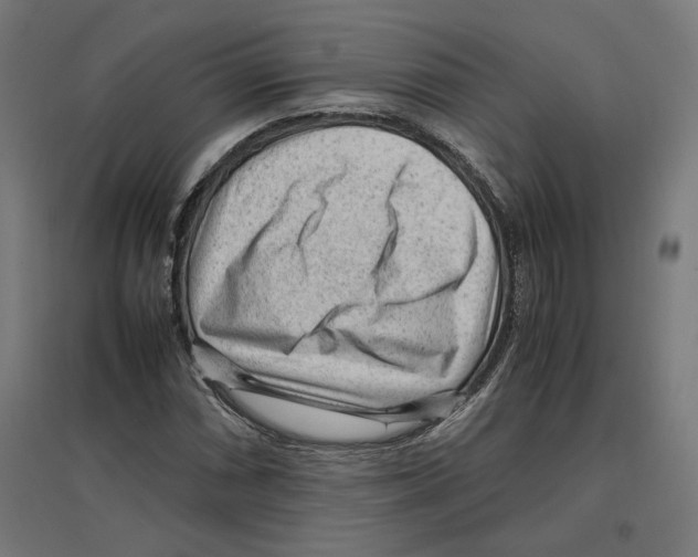 X0000096731066200803041218