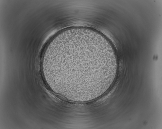 X0000096731067200803041218