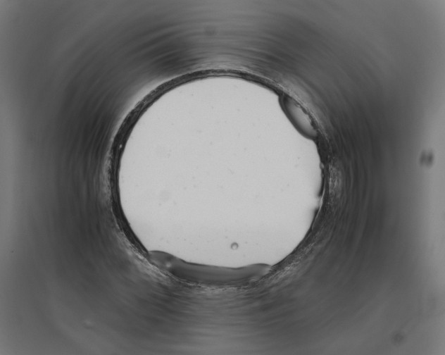 X0000096731068200803041218