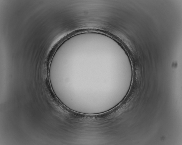 X0000096731069200803041218
