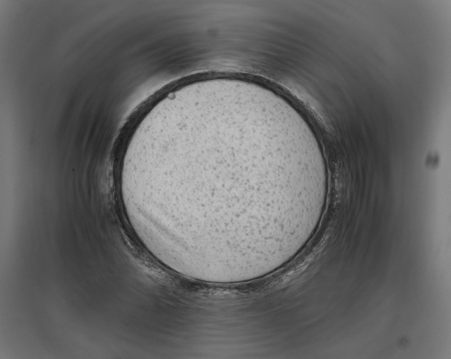 X0000096731070200803041218