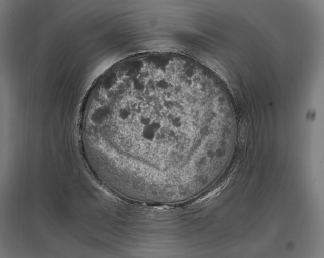 X0000096731071200803041218